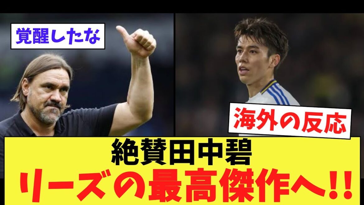 [Reactions from overseas]Aoi Tanaka gets rave reviews every time MOM lol[There's nothing but the premiere]