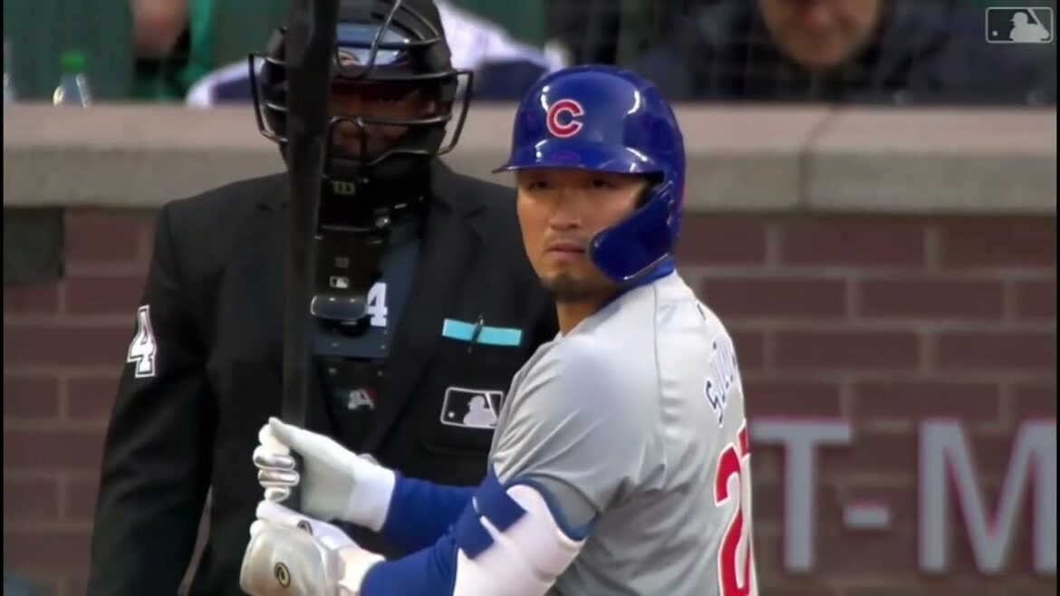 Cubs Seiya Suzuki’s strong batting and defensive play collection MLB 2024 highlights Cubs Seiya Suzuki's strong batting and defensive play collection MLB 2024 highlights