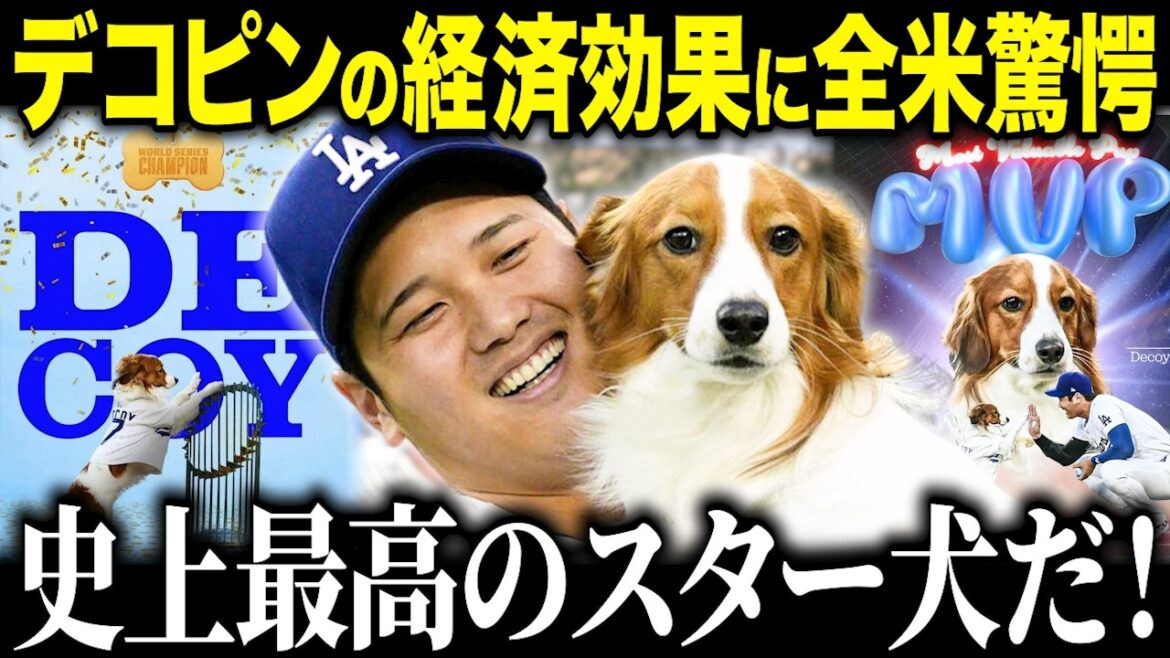 The economic effect of Shohei Otani's partner Dekopin is too abnormal! "He's no longer a dog!" The US media was shocked by the amazing income from merchandise sales[Overseas reaction/MLB/Major/Baseball]