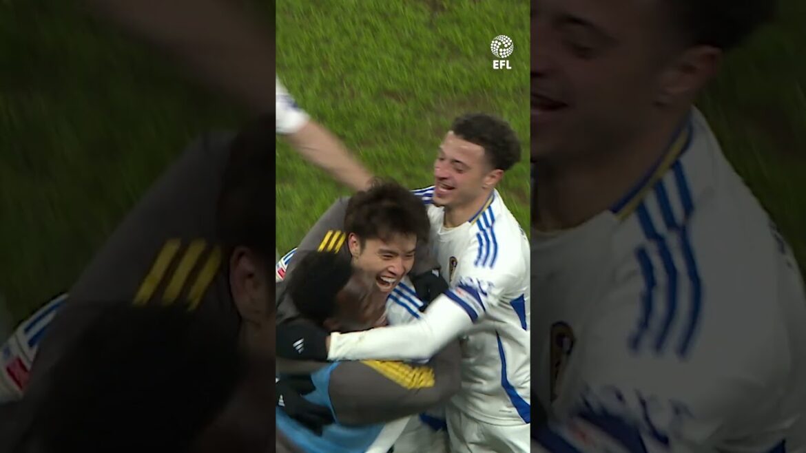 🇯🇵 Ao Tanaka's first #lufc goal was just ridiculous 🤯 #efl