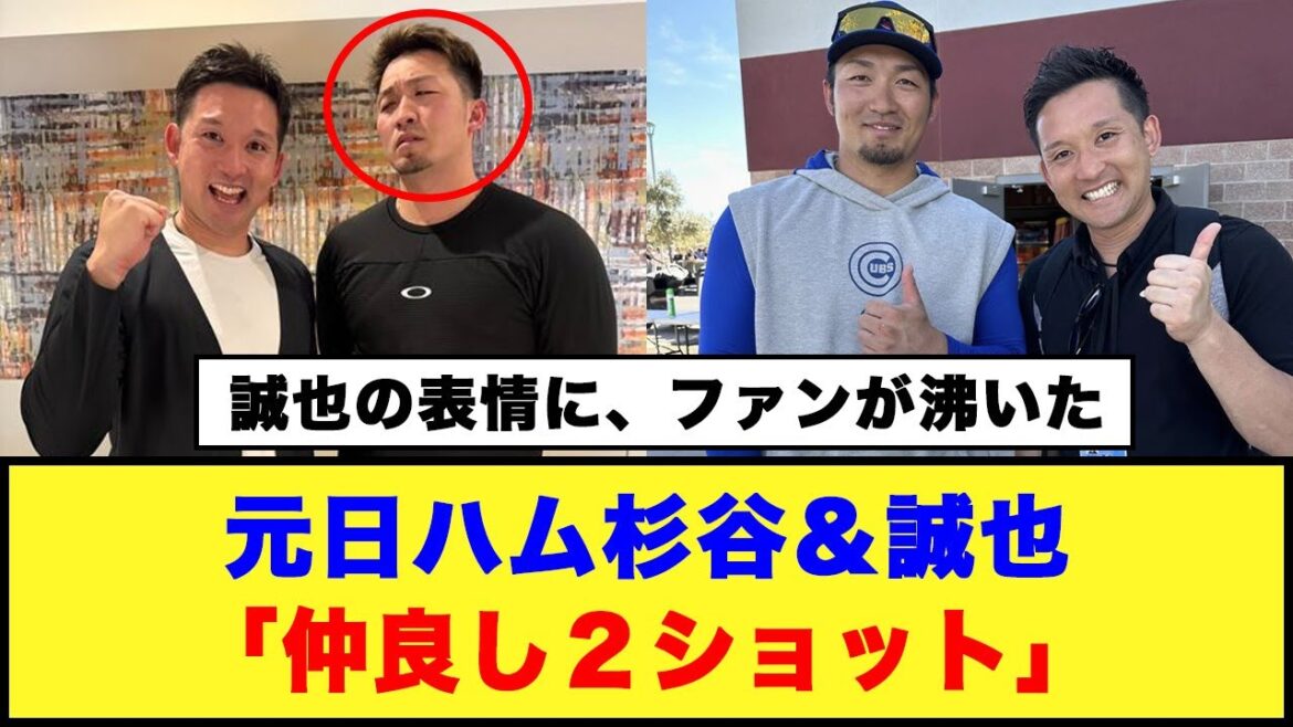 [Fans were excited by Seiya's expression]New Year's Day Ham Sugitani & Seiya "Two shots of friendship" #Nippon Ham Fighters #Kenshi Sugitani #Seiya Suzuki