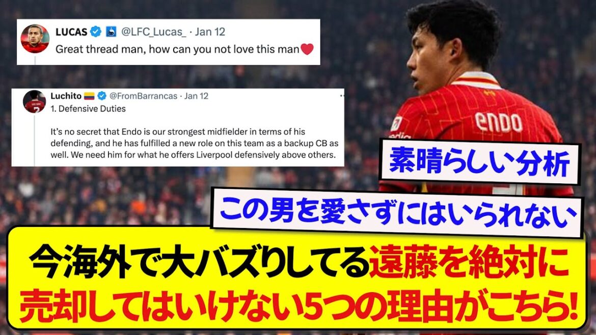 [Good news]The 5 reasons why you should never sell Endo from overseas support, which is currently receiving rave reviews overseas, are just too good! ! ! ! !