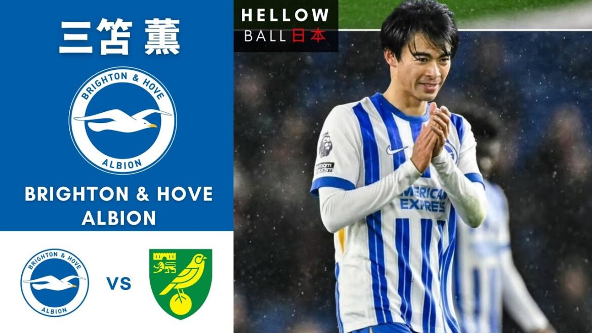 Kaoru Mitoma vs Norwich City 🇯🇵🏴󠁧󠁢󠁥󠁮󠁧󠁿 ● Norwich City Massacre