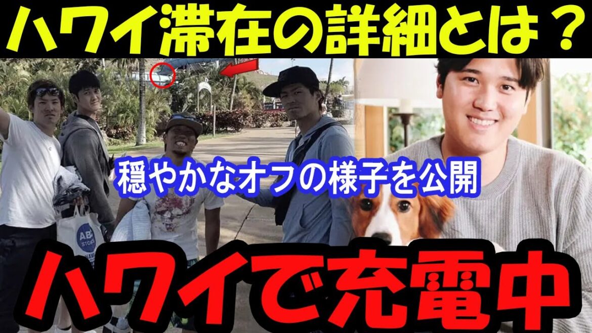 Shohei Otani’s latest photo has become a hot topic! Relax in Hawaii with your dog Dekopin! Shohei Otani's latest photo has become a hot topic! Relax in Hawaii with your dog Dekopin!
