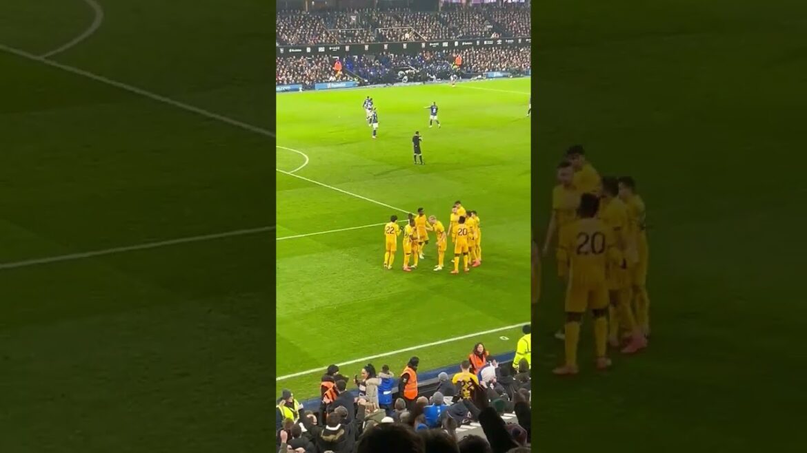 Kaoru Mitoma Goal vs Ipswich Town #kaorumitoma #brighton #ipswichtown #ipswichtownvsbrighton #mitoma