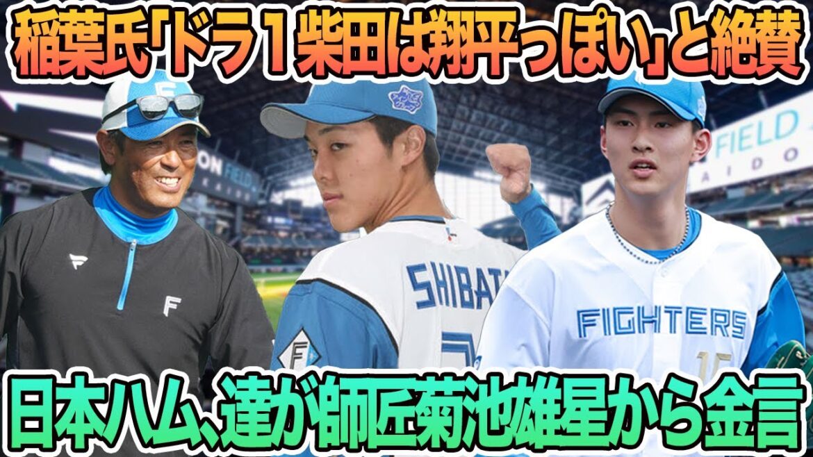 [Inaba2ndteammanager``Dora1ShibatalookslikeShohei''praisesNipponHamNipponHamNipponHamFightersNipponHamNipponHamFighters