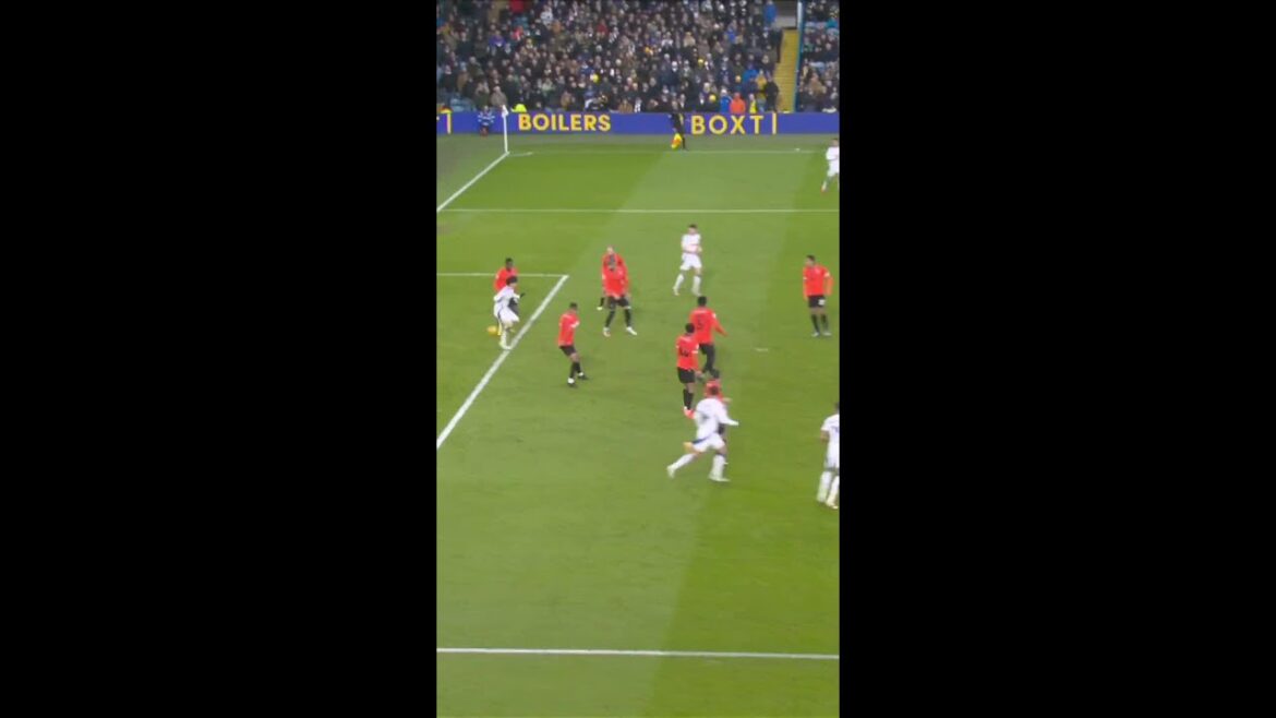 Ridiculous flick goal from Ao Tanaka!