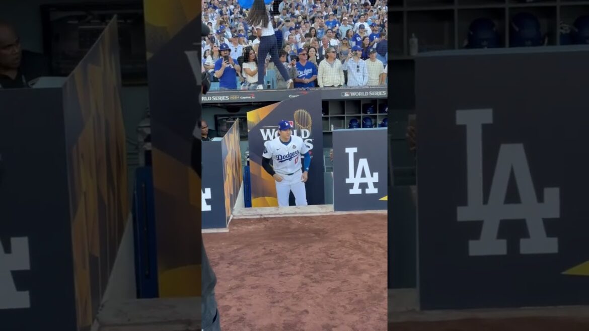 Shohei Ohtani is WORLD SERIES ready 😤 #mlb #baseball #worldseries #Dodgers Shohei Ohtani is WORLD SERIES ready 😤 #mlb #baseball #worldseries #Dodgers