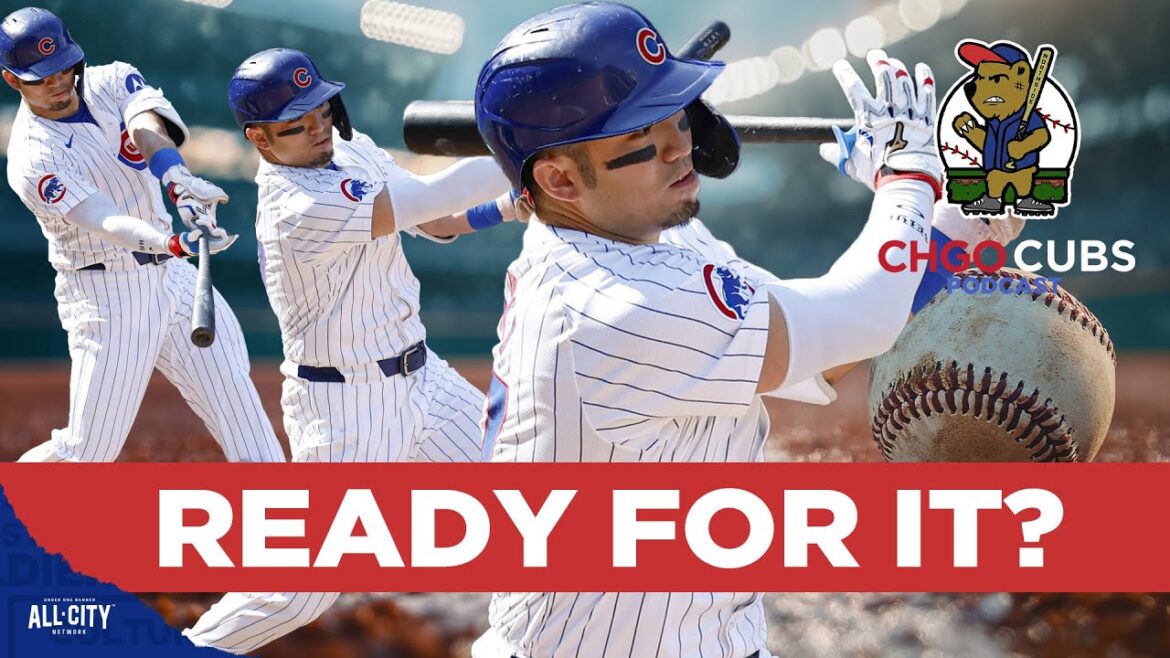 Seiya Suzuki ready for Chicago Cubs DH role in 2025 | CHGO Cubs Podcast Seiya Suzuki ready for Chicago Cubs DH role in 2025 | CHGO Cubs Podcast