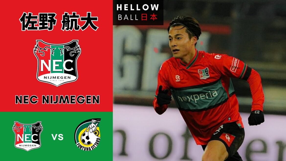 Sano Sano vs Fortuna Sitted Dot 🇳🇱 ● I was seriously injured in this match