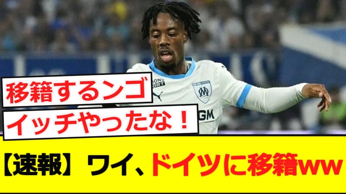 [Breaking news]Frankfurt acquires Ellie Wai for the highest price in history wwwwwwwwwwww