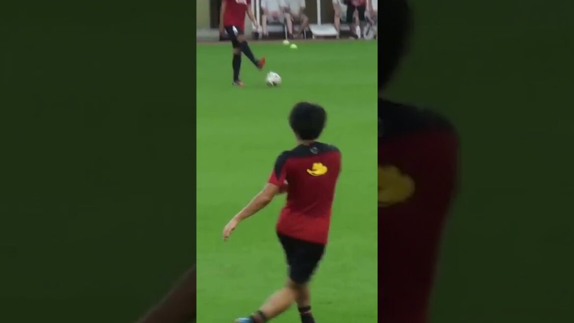 Long pass exchange between Mitsuo Ogasawara and Gaku Shibasaki Long pass exchange between Mitsuo Ogasawara and Gaku Shibasaki