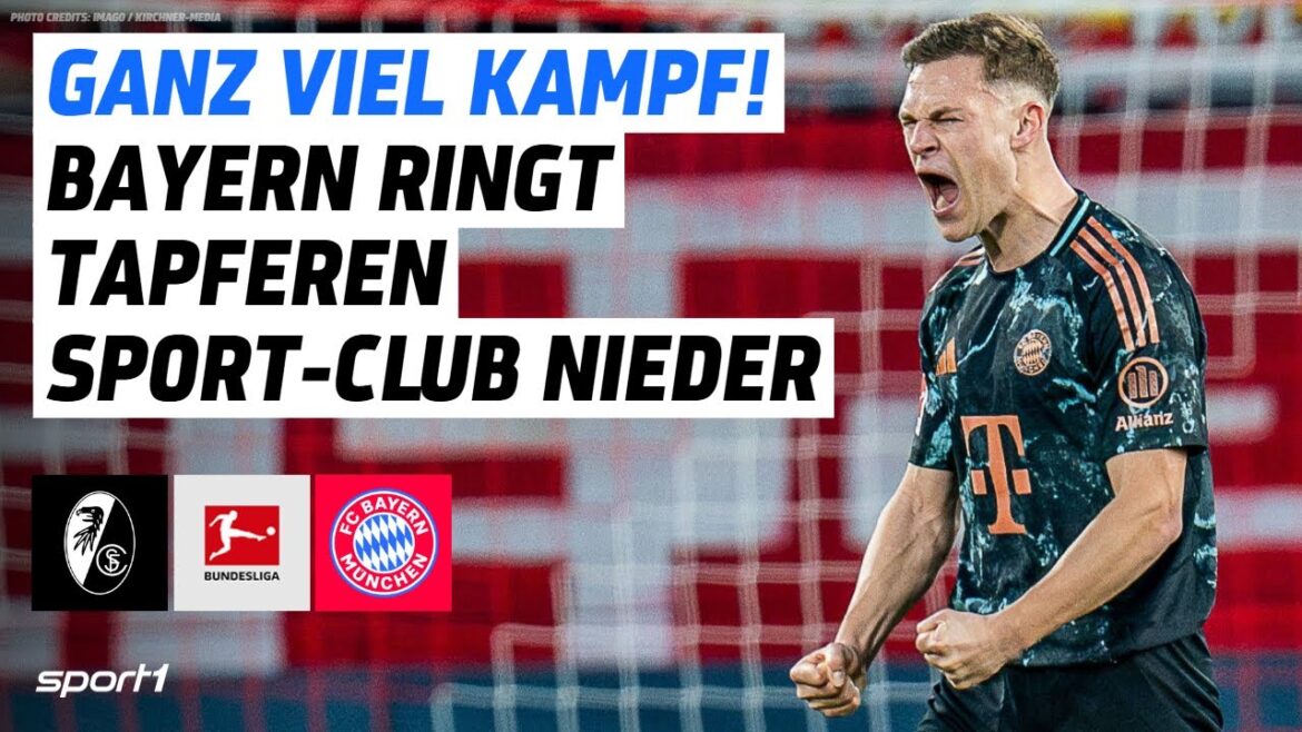 SC Freiburg - FC Bayern Munich | Bundesliga goals and highlights 19th matchday