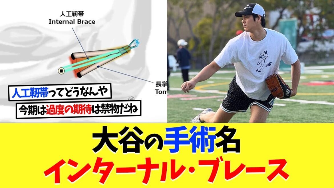 Shohei Otani's surgeon tells her elbow hand[Overseas reaction][Shohei Otani][Nan J][2ch][Professional baseball][Koshien][MLB]
