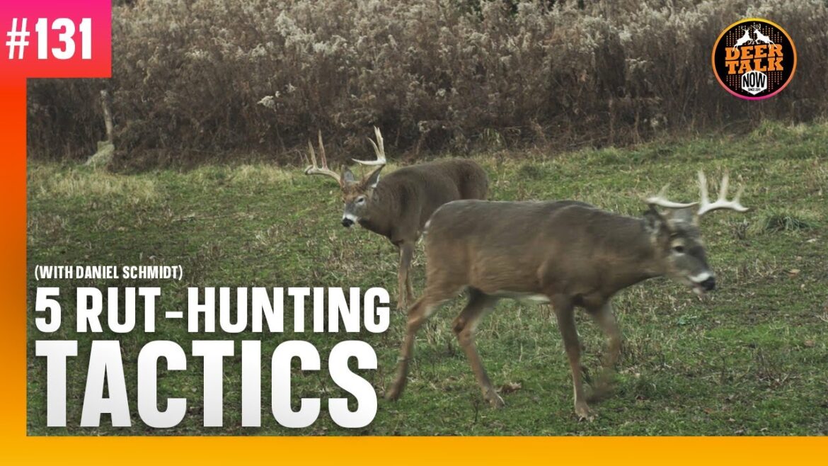 #131: 5 RUT-HUNTING TACTICS with Daniel Schmidt | Deer Talk Now Podcast #131: 5 RUT-HUNTING TACTICS with Daniel Schmidt | Deer Talk Now Podcast