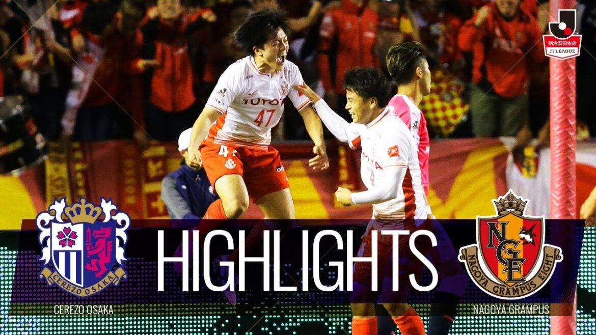 [Official]Highlights: Cerezo Osaka vs Nagoya Grampus Meiji Yasuda Life J1 League Section 28/11/6