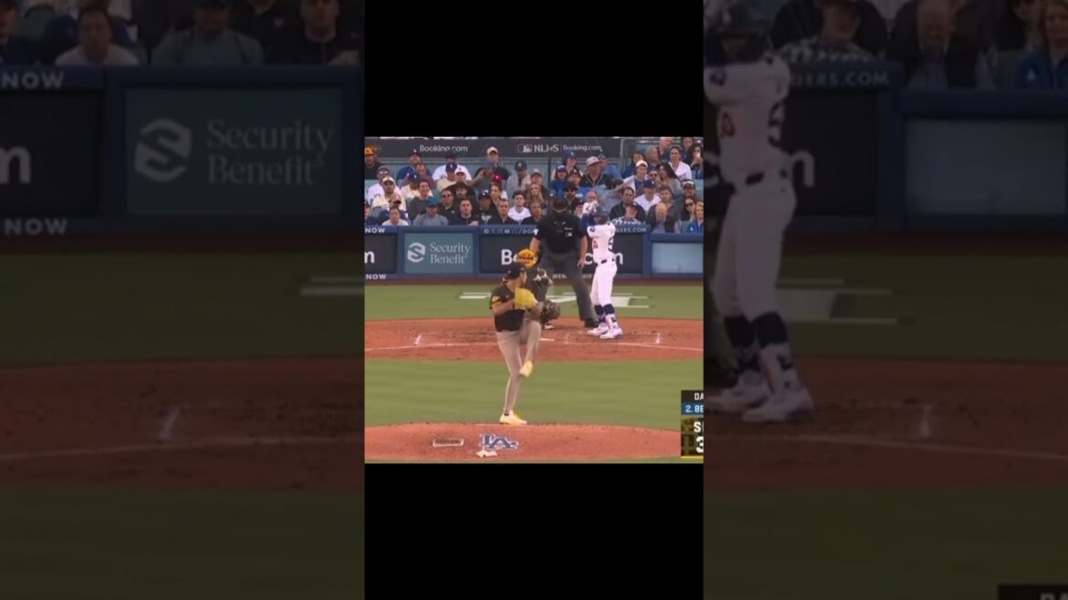 The perfect pitch from Darvish that even the umpire applauded 😂