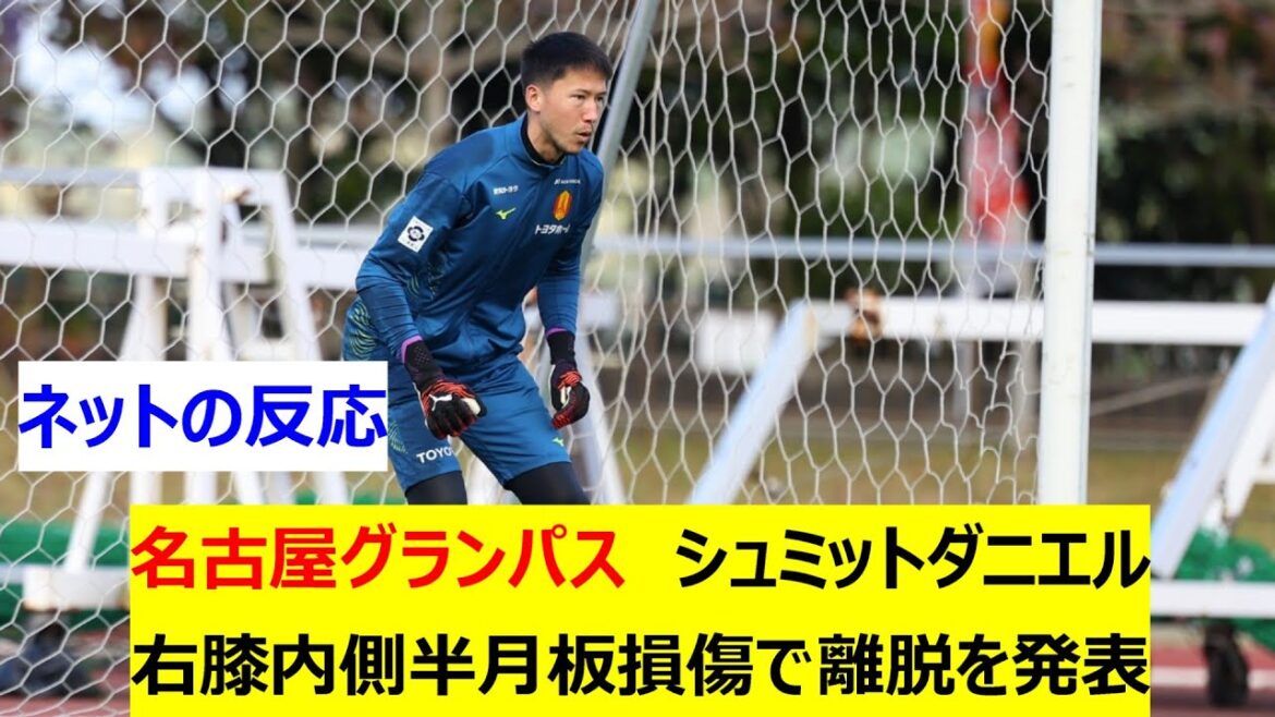 [J -League]Nagoya Grampus Schmidt Daniel Right Knee Inside Semiplate Due to Due to injury