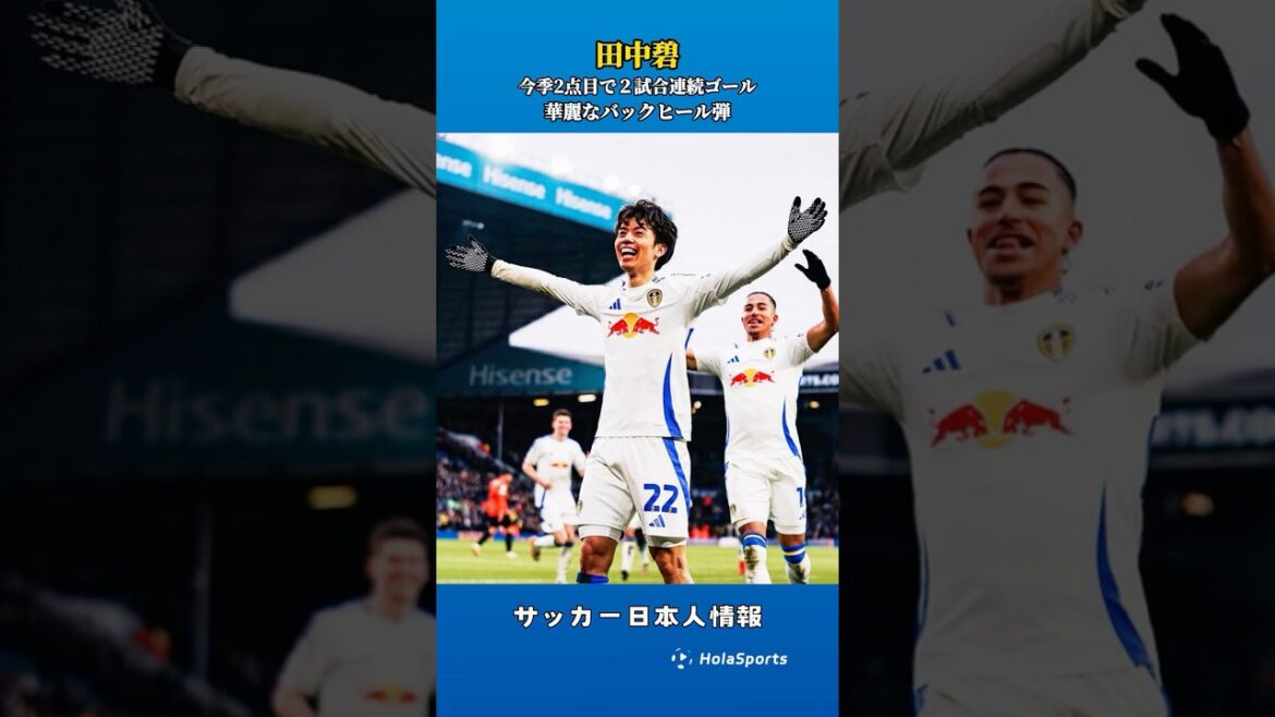 🤯 The key to leading Ao Tanaka with a transfer fee of 3 million euros to the premier promotion?