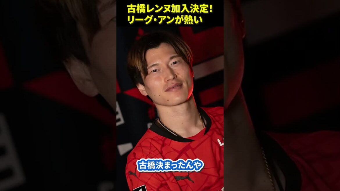 [Furuhashi Rennes joined! ]League Ann is hot