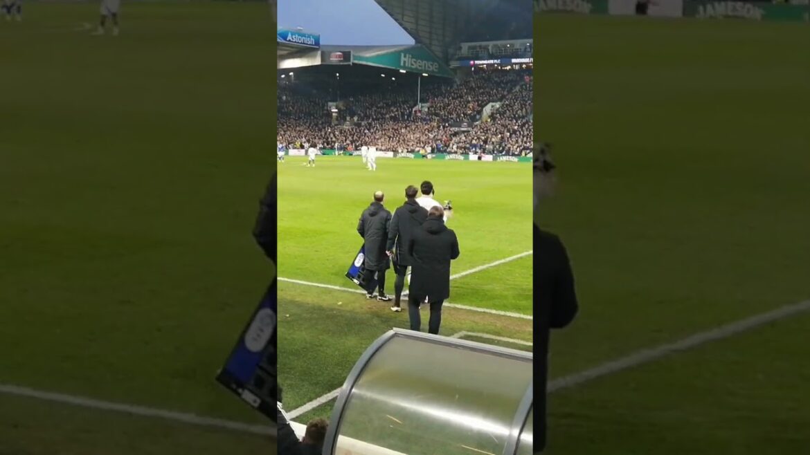 Leeds United Ao Tanaka what a signing, take a bow !! #leedsunited #football #championship #leeds