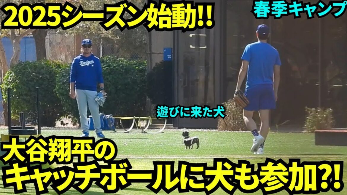 A rare incident during Otani's catch ball w Shohei Otani[local video]Spring training