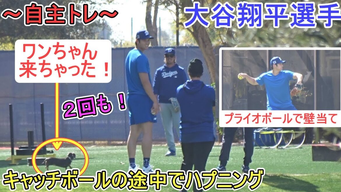 Prio balls with wall hits and catch ball[Shohei Otani]A cute dog came twice in the middle of the catch ball ~ SHOHEI OHTANI 2025 Spring Training