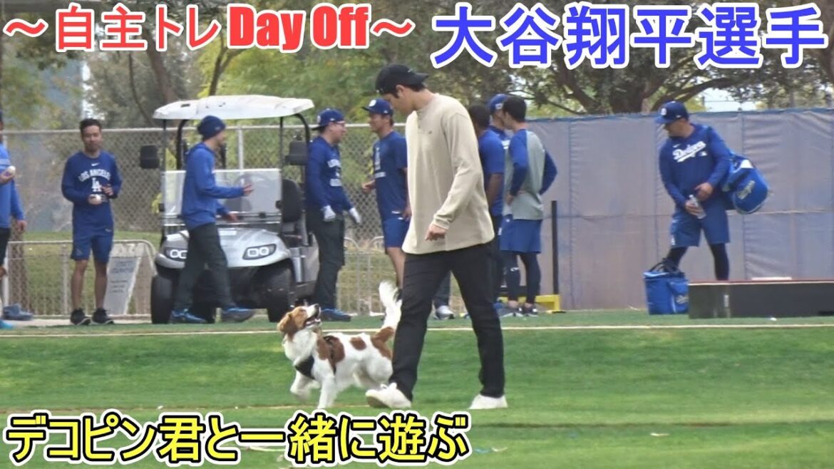 Play with Decopin![Otani Shohei]~ Self-training Day Off ~ Shohei Ohtani 2025 Spring Training
