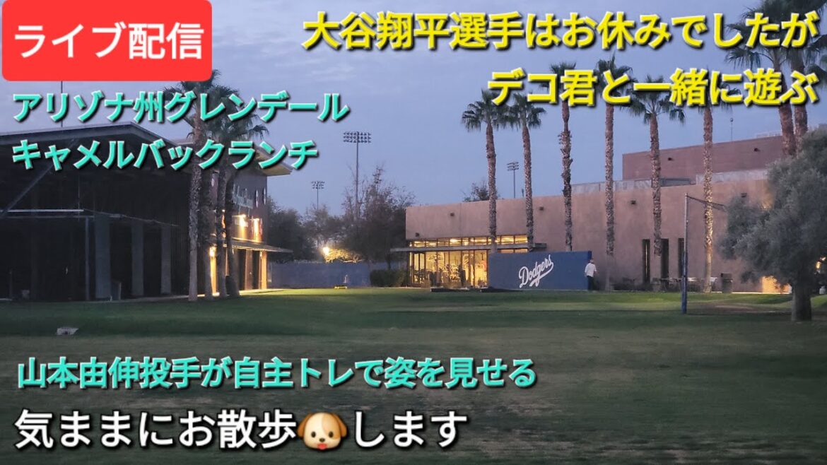 [Live streaming]Otani Shohei was on a break, but... he's playing with Decopin⚾️ pitcher Yamamoto Yushin will show up on his own training⚾️ he'll take a walk🐶💫Shinsuke Handyman is now available for live streaming!