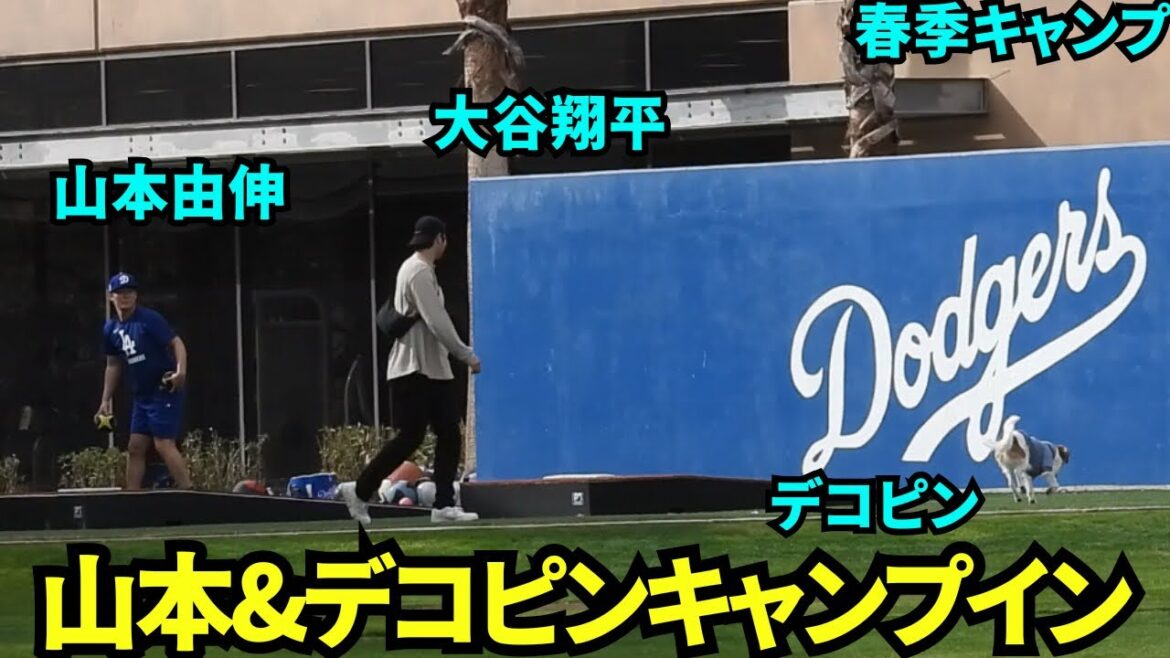 Yamamoto & Decopin Camp Inn! Otani, who was off the off-season, took Decopine to the stadium! Yamamoto practices for the first time this season![Local footage]Spring Training on February 10th, 2025