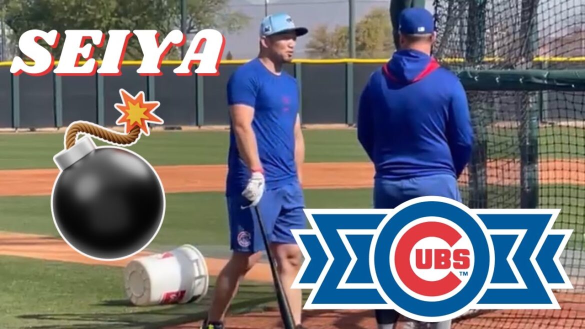 Seiya Suzuki Drops Bombs in Batting Practice! + PCA & Michael Busch