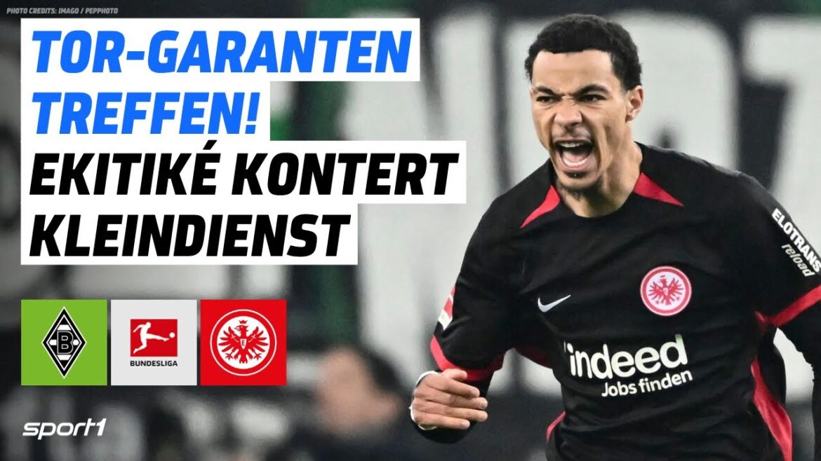 Borussia Mönchengladbach – Eintracht Frankfurt | Bundesliga goals and highlights 21st matchday Borussia Mönchengladbach - Eintracht Frankfurt | Bundesliga goals and highlights 21st matchday