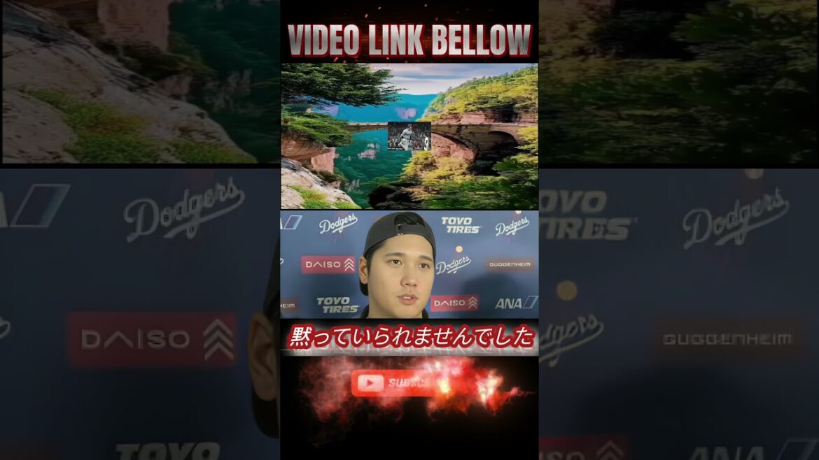 [Otani Shohei]"I wanted to help you at least a little" announces support for the LA wildfire! Fans praised the urgent decision[Otani Shohei Overseas Reaction]M4 #baseballhighlights #shoheiotani