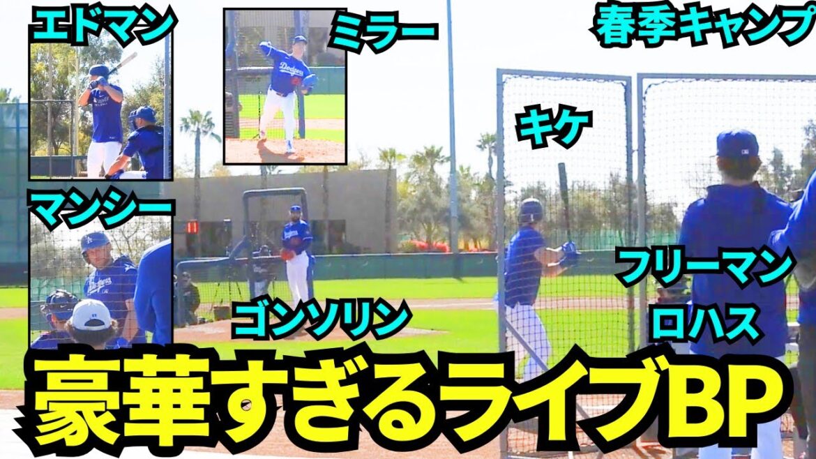 A gorgeous Dodgers live BP with Freeman, Muncie, Kique, Rojas, and Edman! ! Pitcher and Gonsorin, Miller and Robleski[Local footage]Spring Training on February 16th, 2025