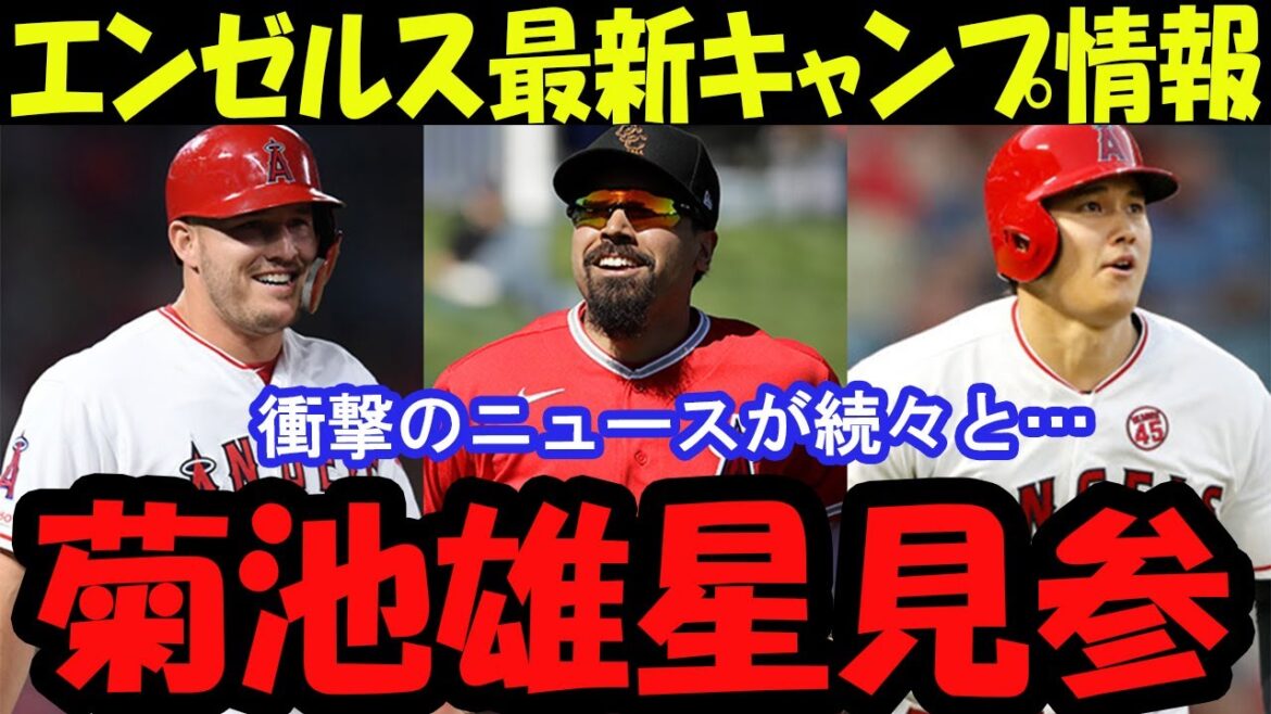 "[Must-see]Angel Camp News! Kikuchi Yusei is here, who is the candidate to strengthen the infielder?"