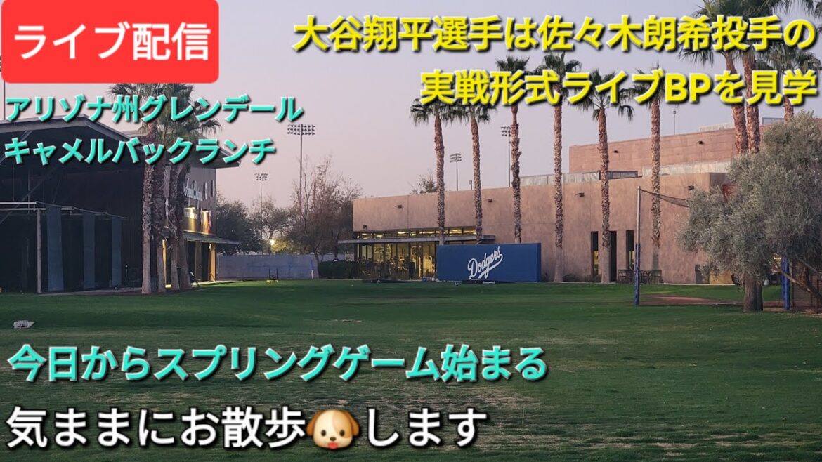 [Live Streaming]Otani Shohei will be watching pitcher Sasaki Roki's live BP in action style ⚾️Spring game begins today⚾️We'll be taking a leisurely walk🐶💫Shinsuke Handyman is now available for live streaming!