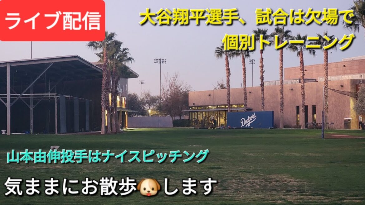 [Live streaming]Otani Shohei misses the game, training individually ⚾️ pitcher Yamamoto Yushin will be taking a nice pitching ⚾️ for a walk 🐶 ⚾️ Shinsuke Handyman is now streaming live!
