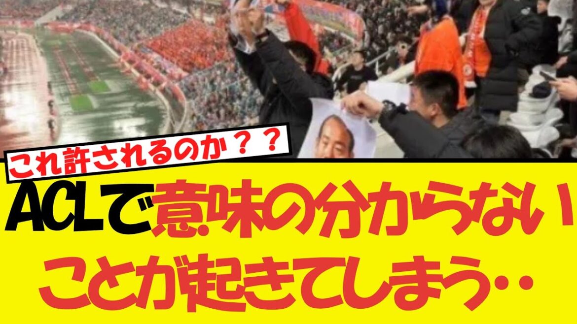 It’s so incomprehensible, it’s really dangerous, what’s happening in WWWWWACL. . . It's so incomprehensible, it's really dangerous, what's happening in WWWWWACL. . .