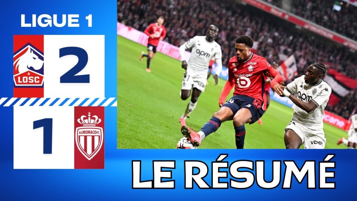Lille - Monaco | 2-1 | Highlights | Ligue 1 2024-25 | Lille Monaco