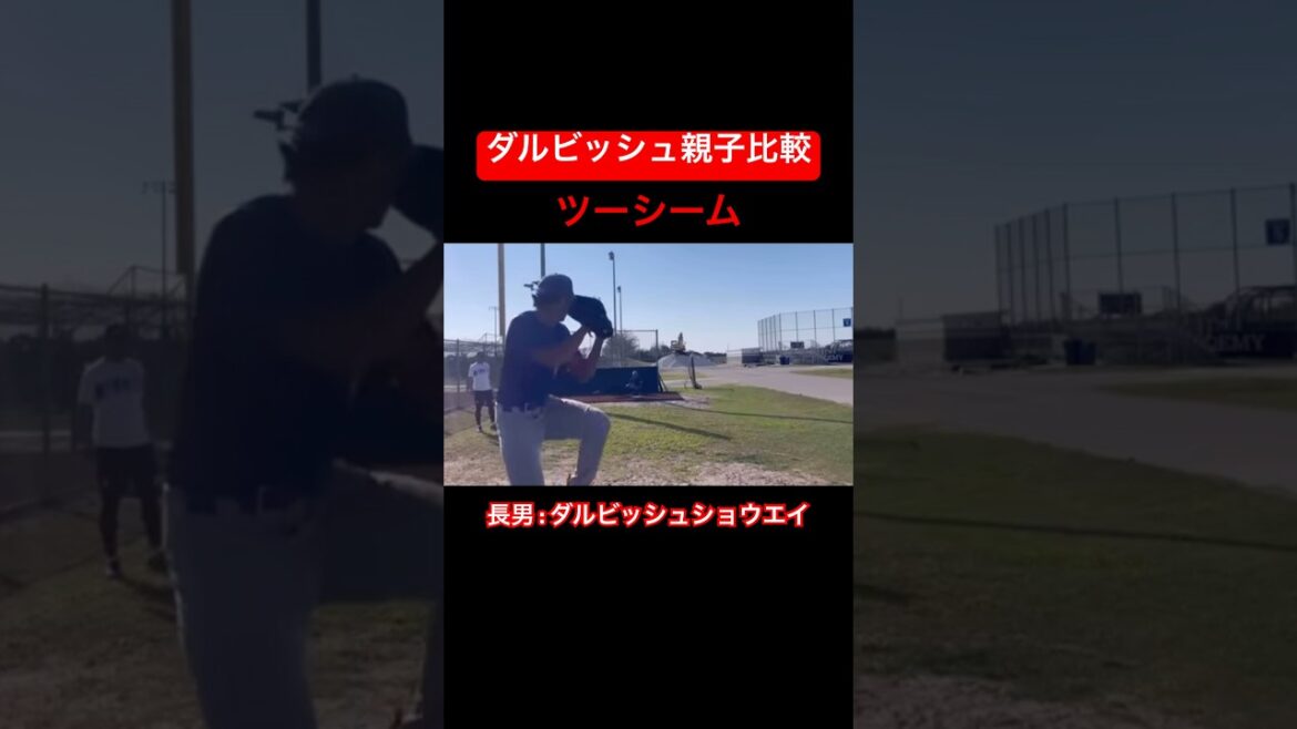 [Descriptive Parent and Child]Darvish Parent and Child Comparison #shorts