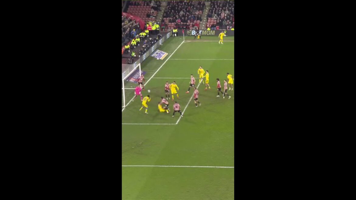 Ao Tanaka scores 89th minute header to win Yorkshire derby! #lufc