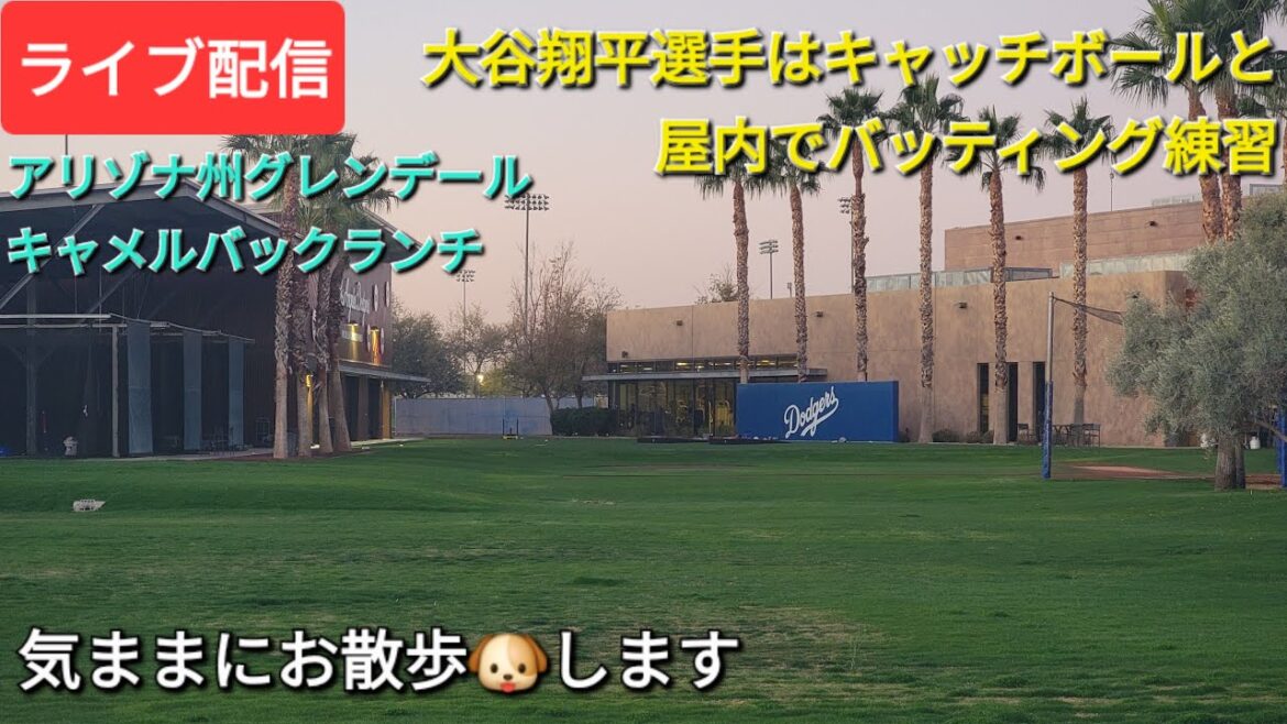 [Live streaming]Otani Shohei will play catch and practice batting indoors⚾️ for a leisurely walk🐶💫Shinsuke Handyman is now available for live streaming!