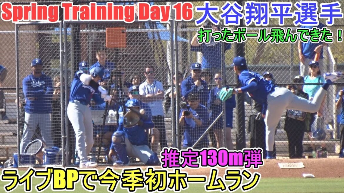 The second live BP live performance, first home run of the season - estimated 130m rounds -[Otani Shohei]- Sptore Day 16 - Shohei Ohtani 2025 Spring Training Day 16