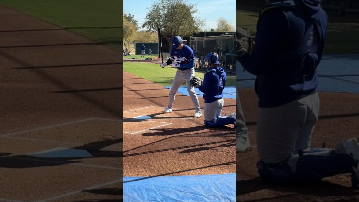 Shohei Ohtani live at bat for the Dodgers at Spring Training