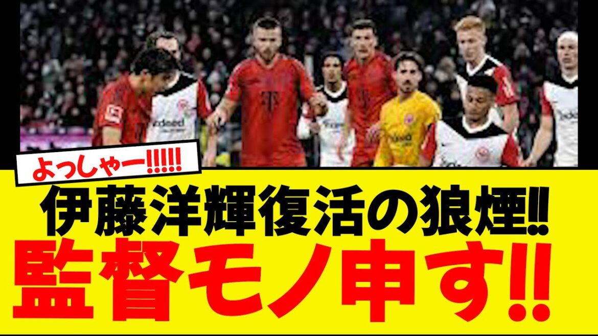 Ito Hiroki is back! ! ! ! ! I'm talking about the director! ! ! !