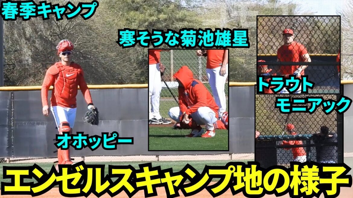 Go to the nostalgic Angels campsite! Kikuchi Yusei, Trout, Ohoppy, Moniac and others were practicing![Local footage]Spring Training March 4, 2025
