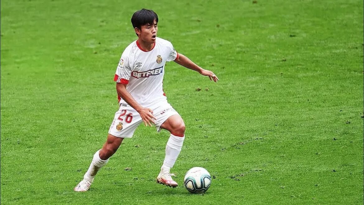 Tedfu to them – Technical Elegance Tedfu to them - Technical Elegance