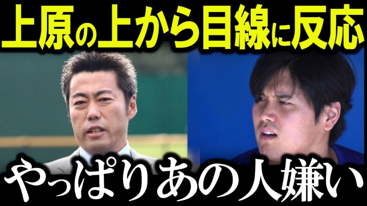 [Anger counterattack! 】 Otani Shohei finally gets furious at San Moni Uehara! Uehara Koji's cynicism causes the United States to explode in flames! Otani Shohei's true feelings that Kikuchi Yusei gave in social media comments are a hot topic[Japan praised by Otani Shohei]