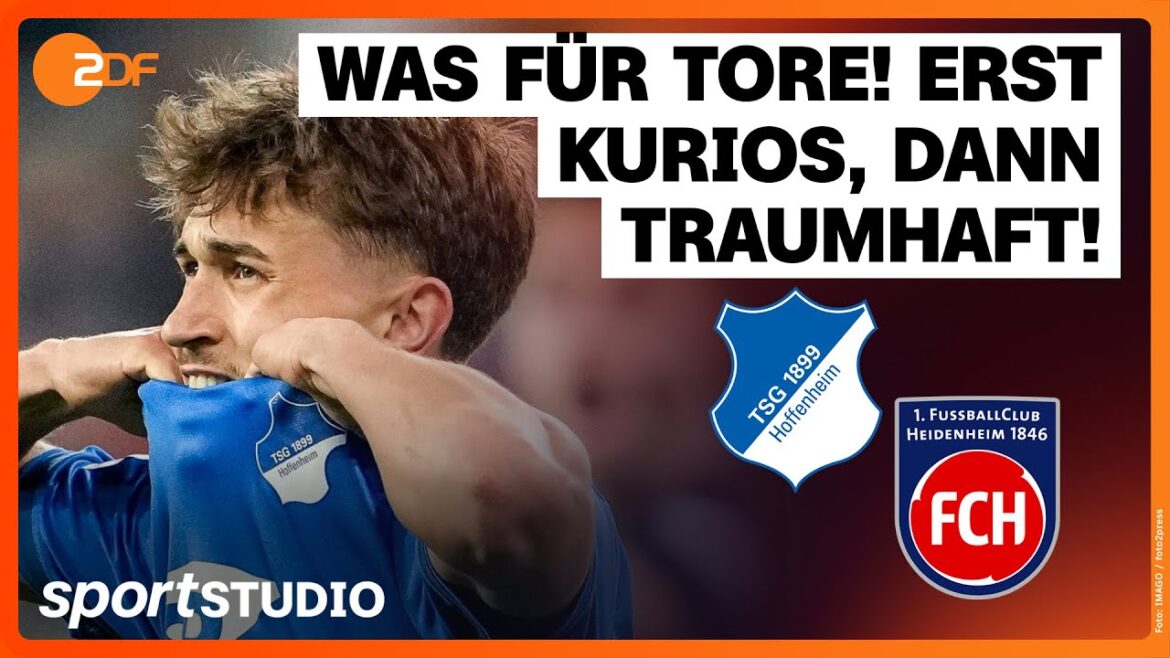 TSG Hoffenheim - 1. FC Heidenheim | Bundesliga, matchday 25 2024/25 | sports studio