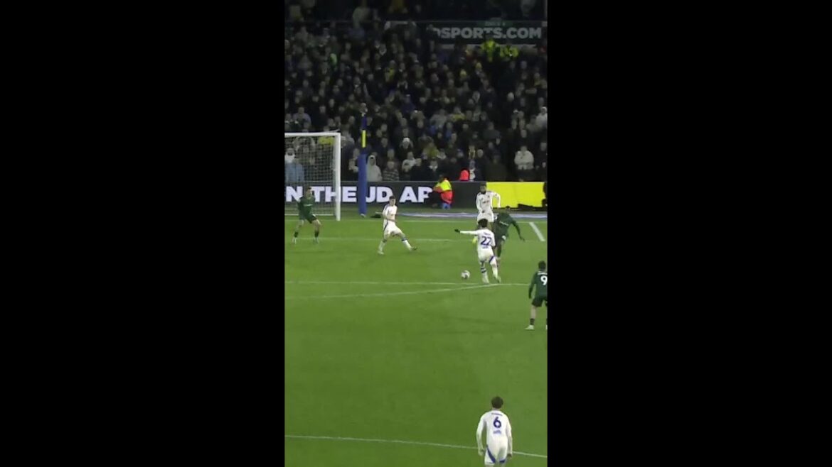 Beautiful strike from Ao Tanaka! #lufc